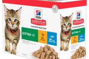 Hill's Science Plan Kitten Multipack Poulet et poisson 12x85 g Hill's Science Plan Kitten Multipack Poulet et poisson 12x85 g