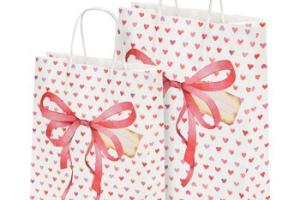 Maxi Zoo Sac-cadeaux Design Cœur S
