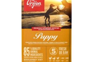 Orijen Croquettes chiot Puppy 11,4 kg