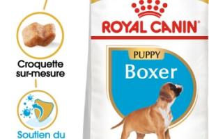 ROYAL CANIN Boxer Chiot 12 kg