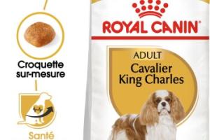 ROYAL CANIN Cavalier King Charles Adulte Croquettes Chien 7,5 kg ROYAL CANIN Cavalier King Charles Adulte Croquettes Chien 7,5 kg