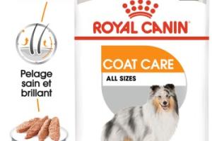 ROYAL CANIN Coat Care Adult Mousse 12x85 g ROYAL CANIN Coat Care Adult Mousse 12x85 g