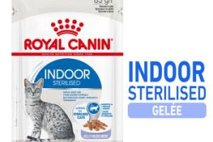 ROYAL CANIN Indoor Sterilised Adult en gelée 12x85 g ROYAL CANIN Indoor Sterilised Adult en gelée 12x85 g