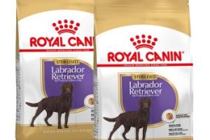 ROYAL CANIN Labrador Adulte Stérilisé Croquettes Chien 2x12 kg