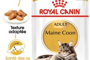 ROYAL CANIN Maine Coon Adult en sauce 12x85 g