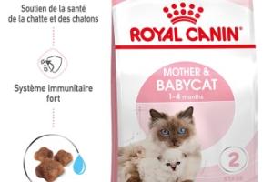 ROYAL CANIN Mother & Babycat Croquettes Chat 400 g ROYAL CANIN Mother & Babycat Croquettes Chat 400 g