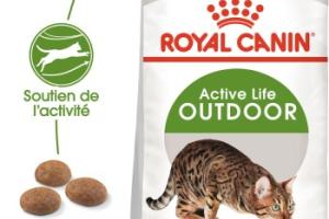 ROYAL CANIN Outdoor Croquettes Chat 4 kg
