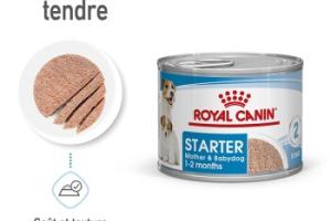 ROYAL CANIN Starter Mother & Babydog Mousse 12x195 g ROYAL CANIN Starter Mother & Babydog Mousse 12x195 g