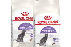 ROYAL CANIN Stérilisé 37 Croquettes Chat 2x10 kg ROYAL CANIN Stérilisé 37 Croquettes Chat 2x10 kg