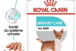 ROYAL CANIN Urinary Care Adulte Mousse 12x85 g