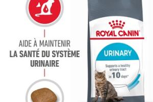 ROYAL CANIN Urinary Care Croquettes Chat 10 kg ROYAL CANIN Urinary Care Croquettes Chat 10 kg