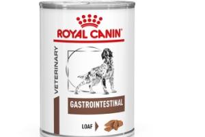 ROYAL CANIN Veterinary Gastrointestinal Mousse 12x400 g ROYAL CANIN Veterinary Gastrointestinal Mousse 12x400 g