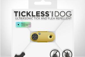 Tickless Mini Dog or Tickless Mini Dog or