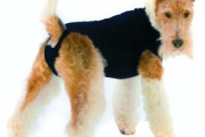 Trovet Body pour chien Recovery Suit noir M-L Trovet Body pour chien Recovery Suit noir M-L
