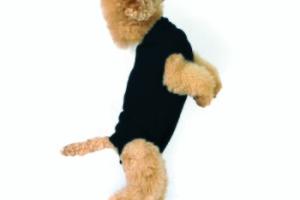Trovet Body pour chien Recovery Suit noir XXXS Trovet Body pour chien Recovery Suit noir XXXS