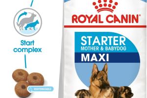 Royal Canin Chien Maxi Starter