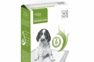 Tapis d'apprentissage Green Grass Puppy