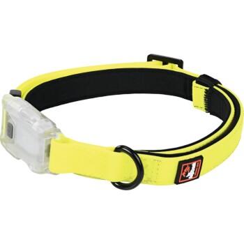 Dogs Creek Collier lumineux Polar L