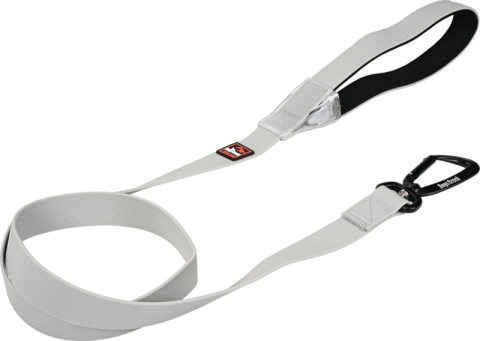 Dogs Creek laisse lumineuse Polar Light