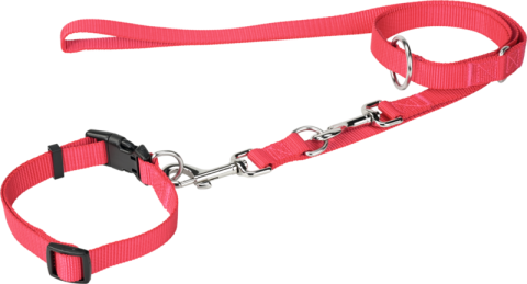 FIT+FUN Collier + laisse rose S FIT+FUN Collier + laisse rose S