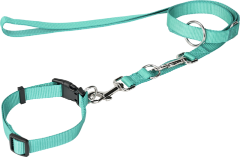 FIT+FUN Collier + laisse vert M