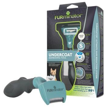 FURminator chat S Poils courts