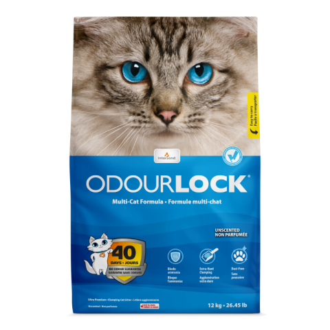 Intersand ODOUR LOCK Unscented 12 kg