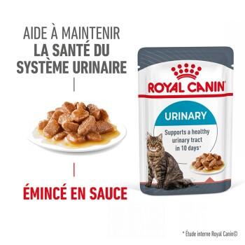 ROYAL CANIN Care Urinary en sauce 12x85 g ROYAL CANIN Care Urinary en sauce 12x85 g
