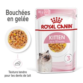 ROYAL CANIN Kitten en gelée 12x85 g