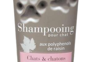 Beaphar Shampoing Chat/Chaton