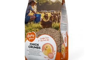 Duvo+ Miettes Poussin