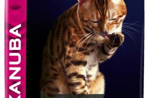 Eukanuba Boule de Poils Chat Adulte Poulet