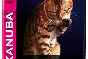 Eukanuba Top Condition Chat Adulte Poulet