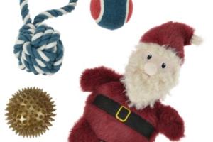 AniOne Coffret-cadeau jouets XMAS 4 pièces AniOne Coffret-cadeau jouets XMAS 4 pièces