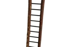 AniOne Échelle en bois naturel pour perruches 39 cm