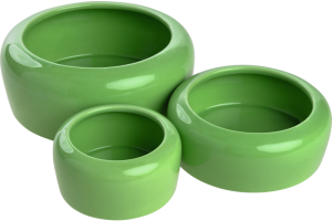 AniOne Gamelle pour petits animaux vert 250 ml