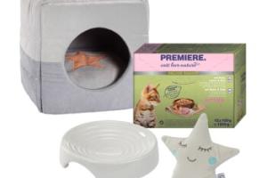 AniOne Kit de démarrage New Kitten