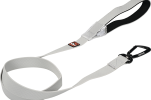 Dogs Creek laisse lumineuse Polar Light