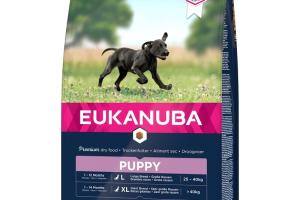 EUKANUBA Puppy Large Breed 3 kg