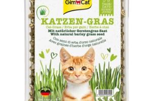 GimCat Herbe à Chat 150g GimCat Herbe à Chat 150g