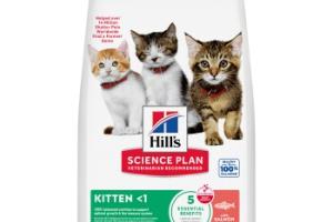 Hill's Science Plan croquettes pour chatons,