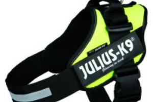 JULIUS-K9 Harnais IDC XL JULIUS-K9 Harnais IDC XL