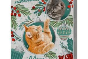 MultiFit Calendrier de l'Avent naturelle pour chat 150g MultiFit Calendrier de l'Avent naturelle pour chat 150g