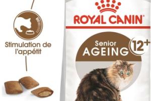 ROYAL CANIN Ageing 12+ Croquettes Chat 2 kg
