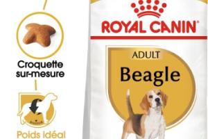 ROYAL CANIN Beagle Adulte Croquettes Chien 3 kg