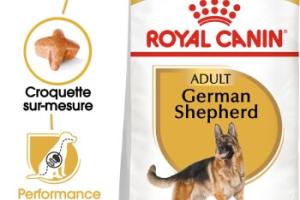 ROYAL CANIN Berger Allemand Adulte Croquettes Chien 11 kg ROYAL CANIN Berger Allemand Adulte Croquettes Chien 11 kg