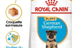 ROYAL CANIN Berger Allemand Chiot Croquettes Chien 3 kg