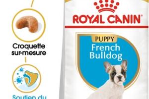 ROYAL CANIN Bouledogues français Puppy 10 kg ROYAL CANIN Bouledogues français Puppy 10 kg