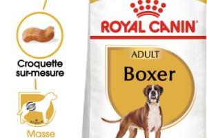 ROYAL CANIN Boxer Adulte Croquettes Chien 3 kg