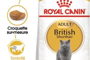 ROYAL CANIN British Shorthair Adulte Croquettes Chat 400 g